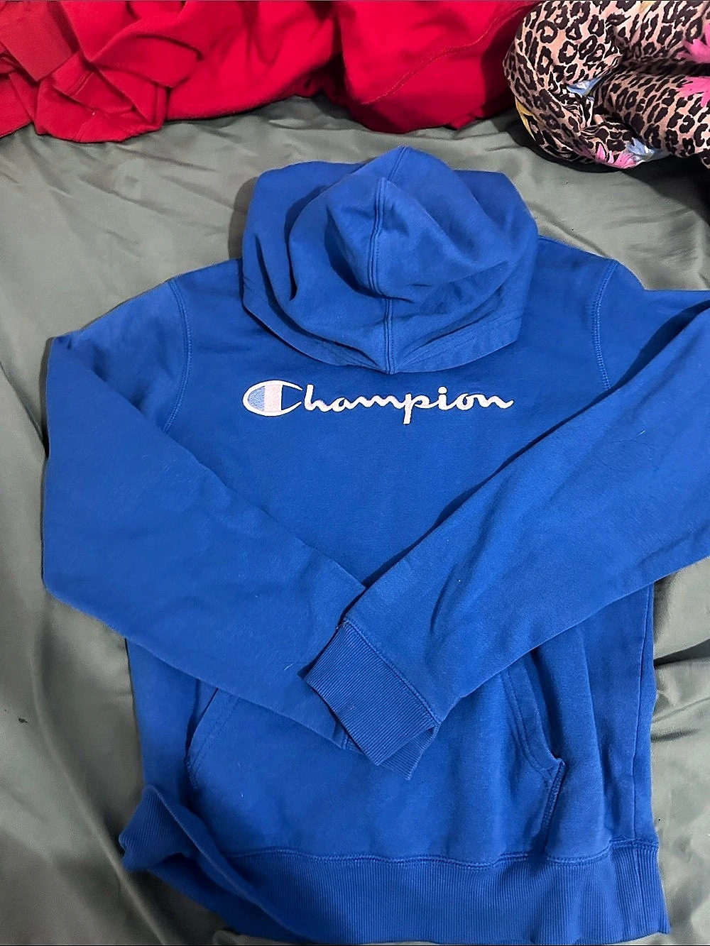 Champion Authentic Athleticwear Script Logo Hoodie Blue XL